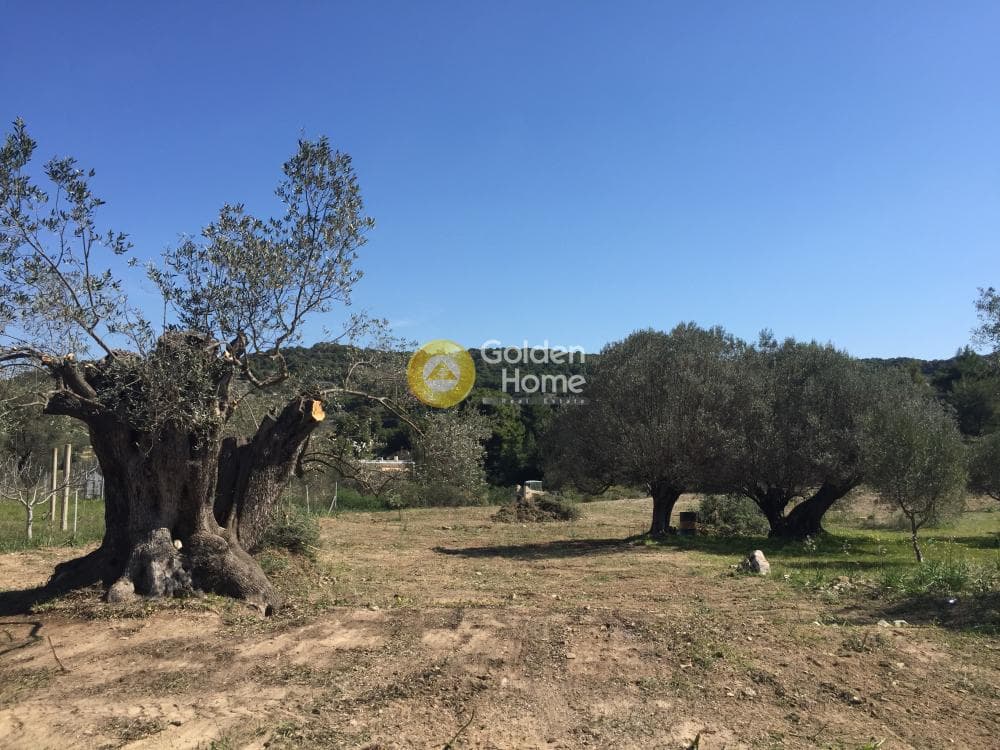 Οικόπεδο στην Μεσαγρός, Αίγινα — Φωτογραφία 3 από 3