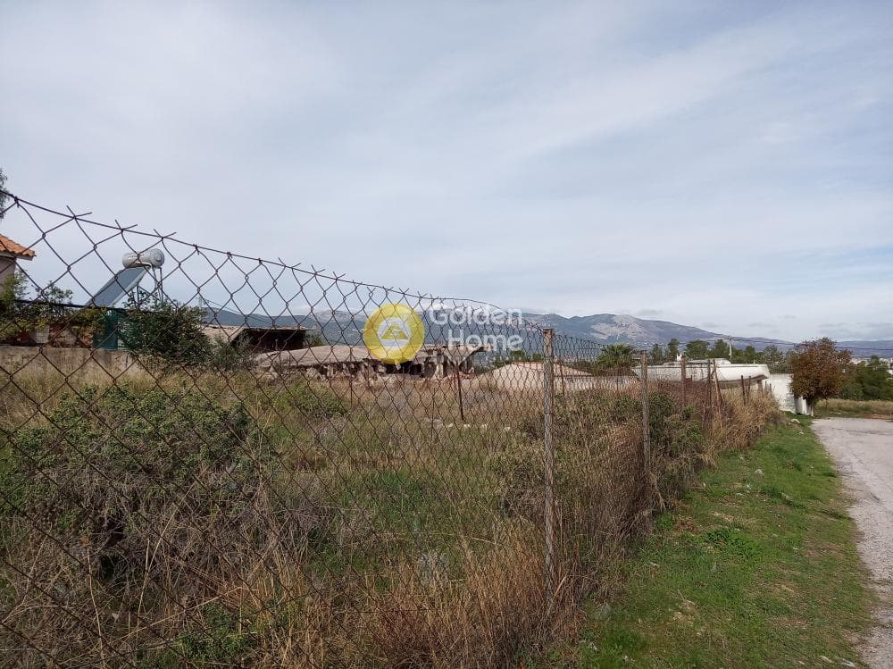 Αγροτεμάχιο στην Πυργούθι, Αχαρνές — Φωτογραφία 2 από 5