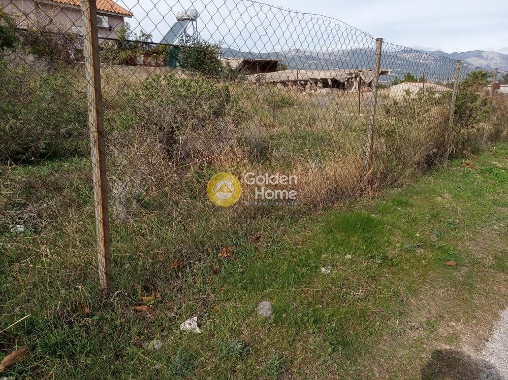 Αγροτεμάχιο στην Πυργούθι, Αχαρνές — Φωτογραφία 3 από 5