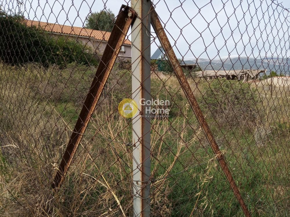 Αγροτεμάχιο στην Πυργούθι, Αχαρνές — Φωτογραφία 4 από 5