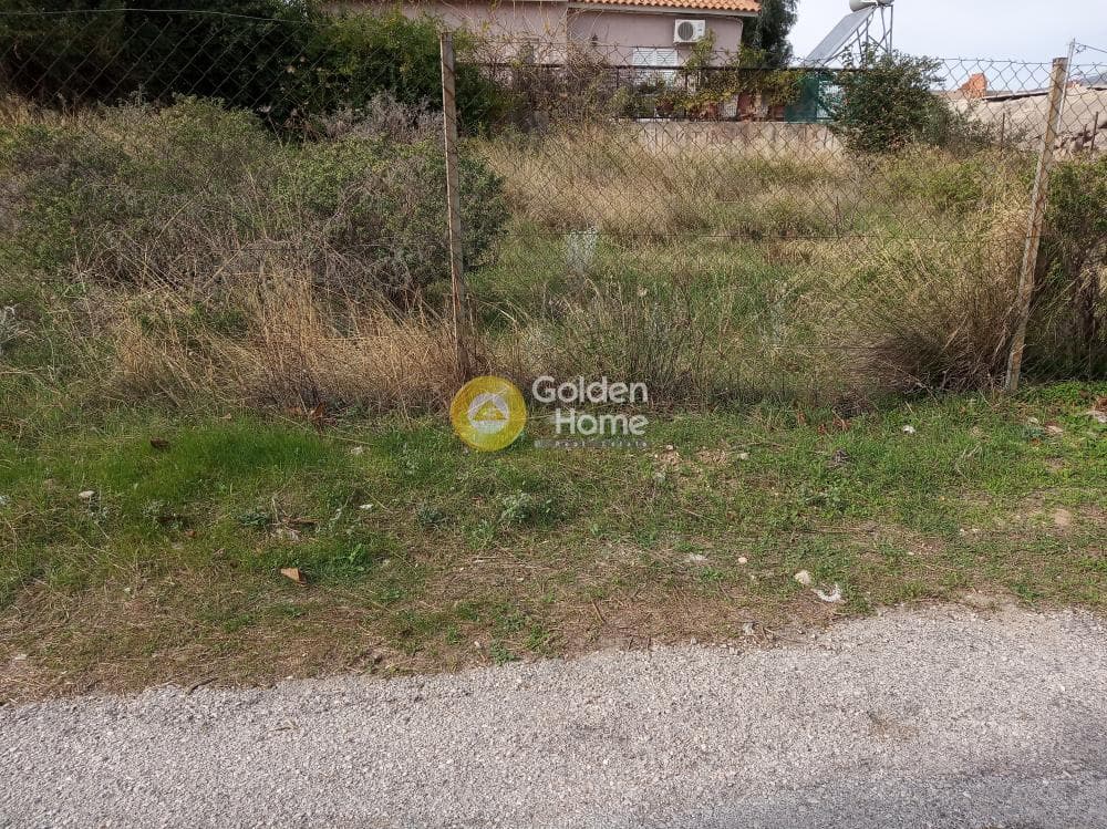 Αγροτεμάχιο στην Πυργούθι, Αχαρνές — Φωτογραφία 1 από 5