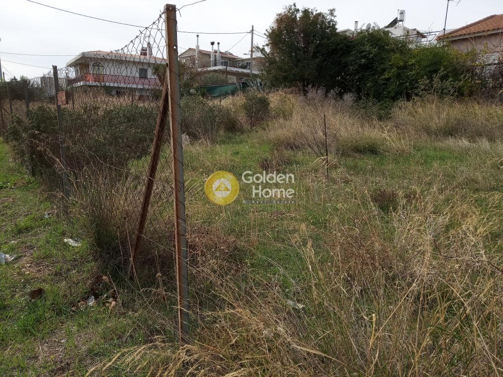 Αγροτεμάχιο στην Πυργούθι, Αχαρνές — Φωτογραφία 5 από 5