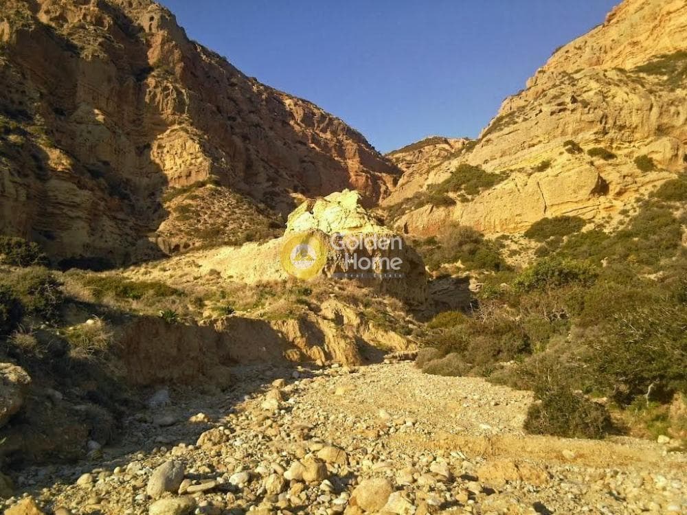 Αγροτεμάχιο στην Ξηρόκαμπος, Τυμπάκι — Φωτογραφία 3 από 22