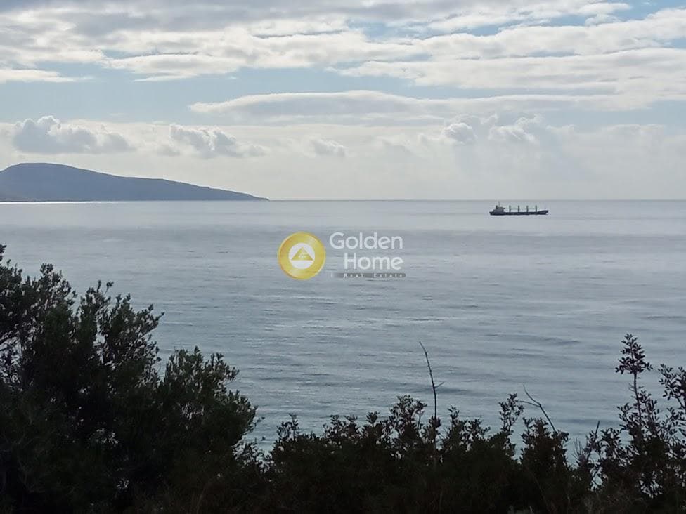 Αγροτεμάχιο στην Ξηρόκαμπος, Τυμπάκι — Φωτογραφία 1 από 22