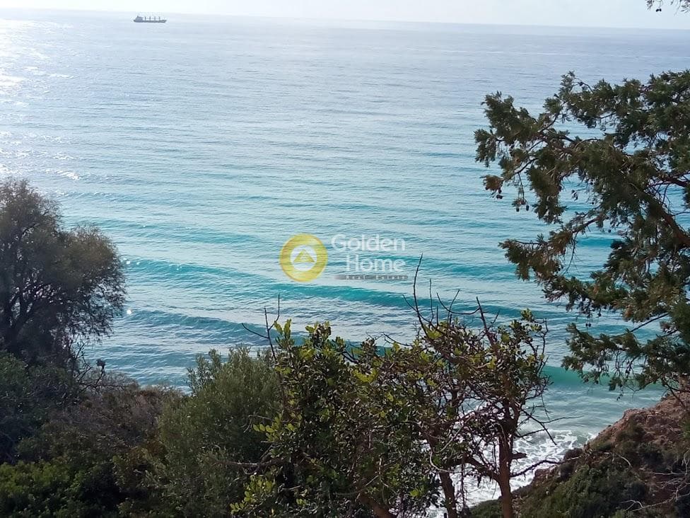 Αγροτεμάχιο στην Ξηρόκαμπος, Τυμπάκι — Φωτογραφία 11 από 22