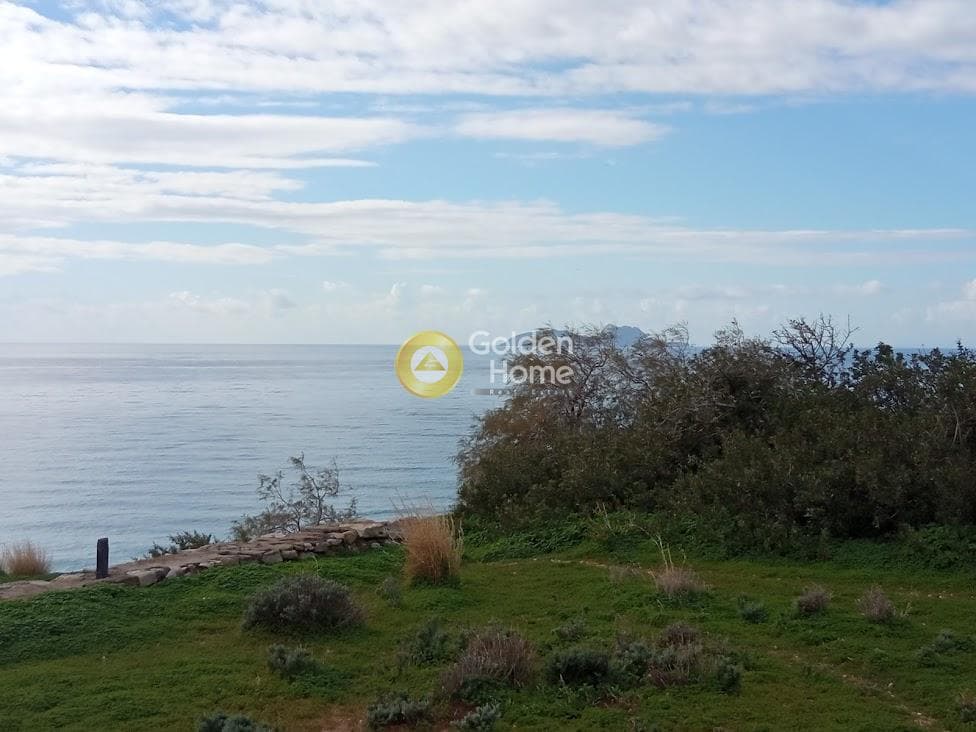 Αγροτεμάχιο στην Ξηρόκαμπος, Τυμπάκι — Φωτογραφία 2 από 22