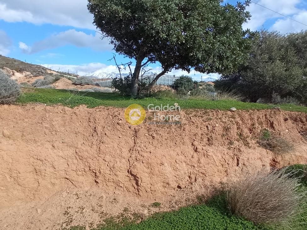 Αγροτεμάχιο στην Ξηρόκαμπος, Τυμπάκι — Φωτογραφία 6 από 22