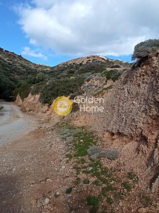 Αγροτεμάχιο στην Ξηρόκαμπος, Τυμπάκι — Φωτογραφία 8 από 22