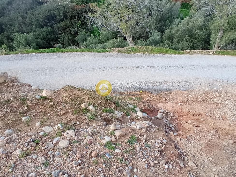 Αγροτεμάχιο στην Ξηρόκαμπος, Τυμπάκι — Φωτογραφία 20 από 22