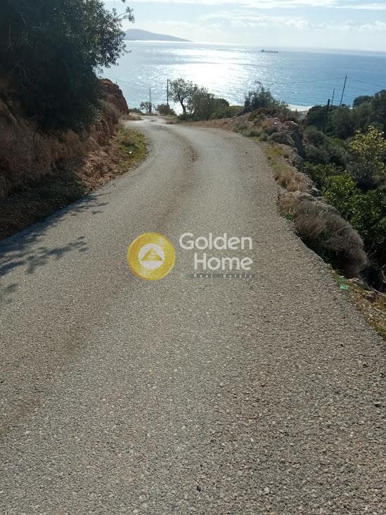 Αγροτεμάχιο στην Ξηρόκαμπος, Τυμπάκι — Φωτογραφία 13 από 22