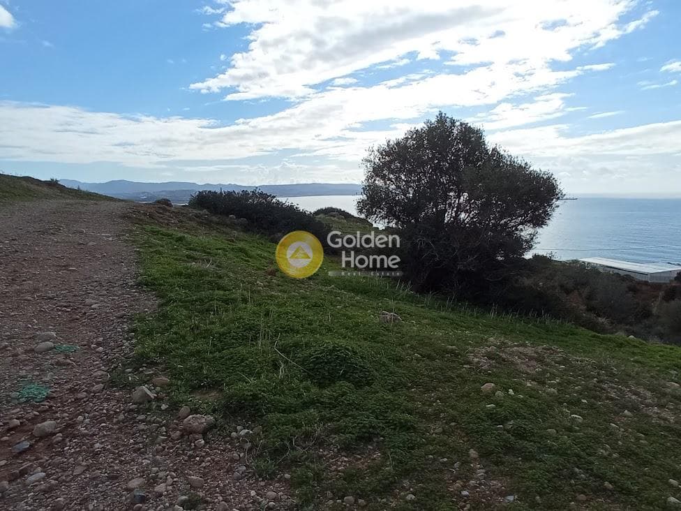 Αγροτεμάχιο στην Ξηρόκαμπος, Τυμπάκι — Φωτογραφία 18 από 22