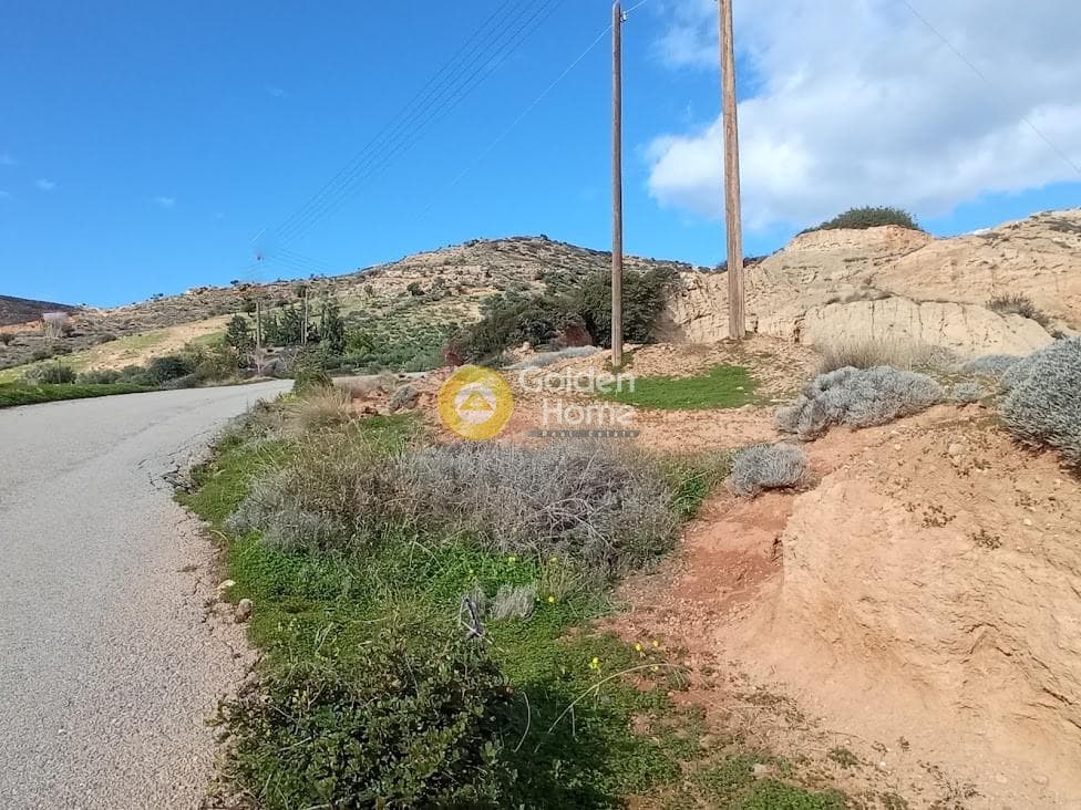 Αγροτεμάχιο στην Ξηρόκαμπος, Τυμπάκι — Φωτογραφία 14 από 22