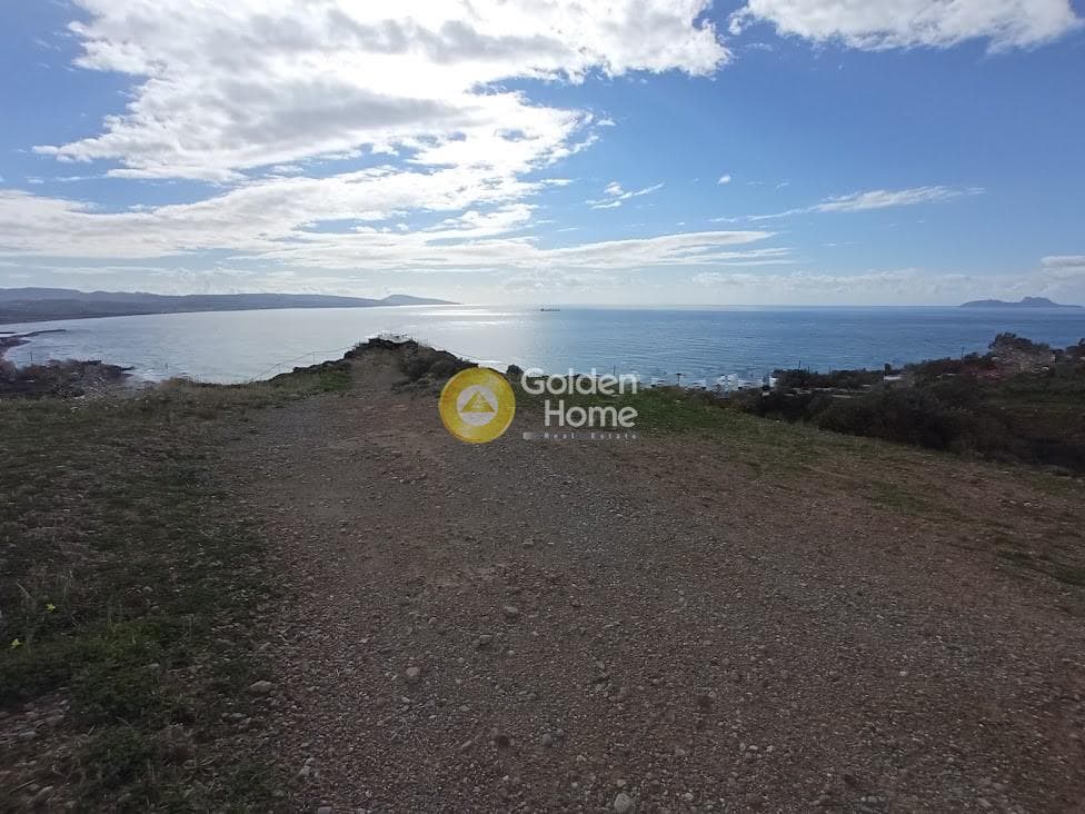 Αγροτεμάχιο στην Ξηρόκαμπος, Τυμπάκι — Φωτογραφία 16 από 22