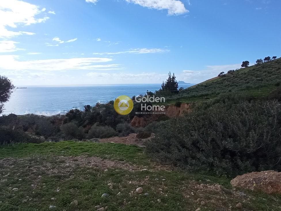Αγροτεμάχιο στην Ξηρόκαμπος, Τυμπάκι — Φωτογραφία 15 από 22