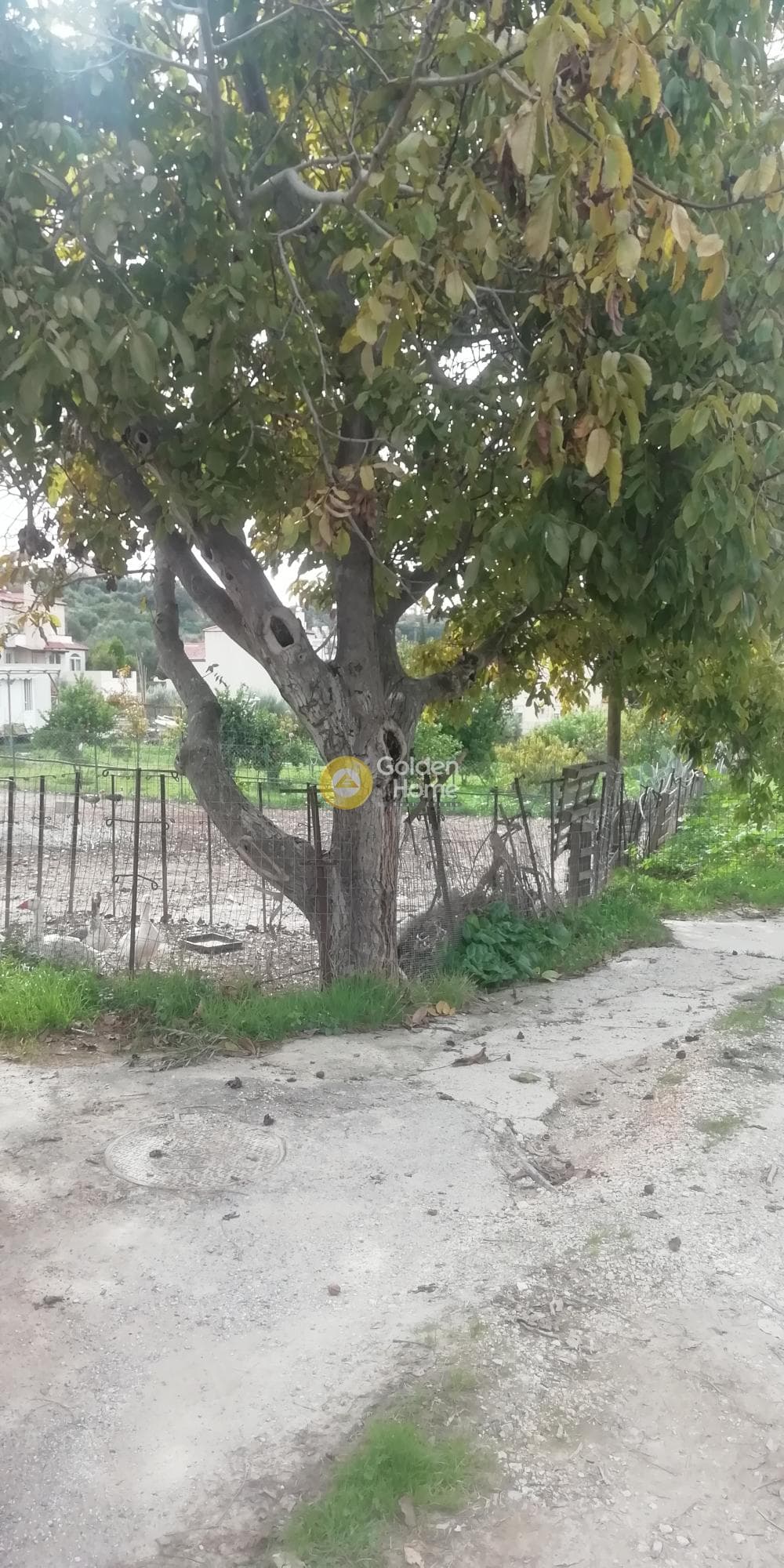 Building Plot in Kato Kalesia, Temenos — Photo 10 of 13