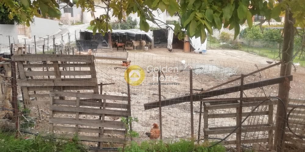 Building Plot in Kato Kalesia, Temenos — Photo 5 of 13