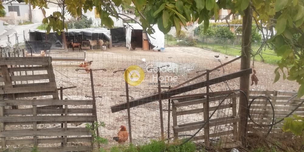 Building Plot in Kato Kalesia, Temenos — Photo 6 of 13