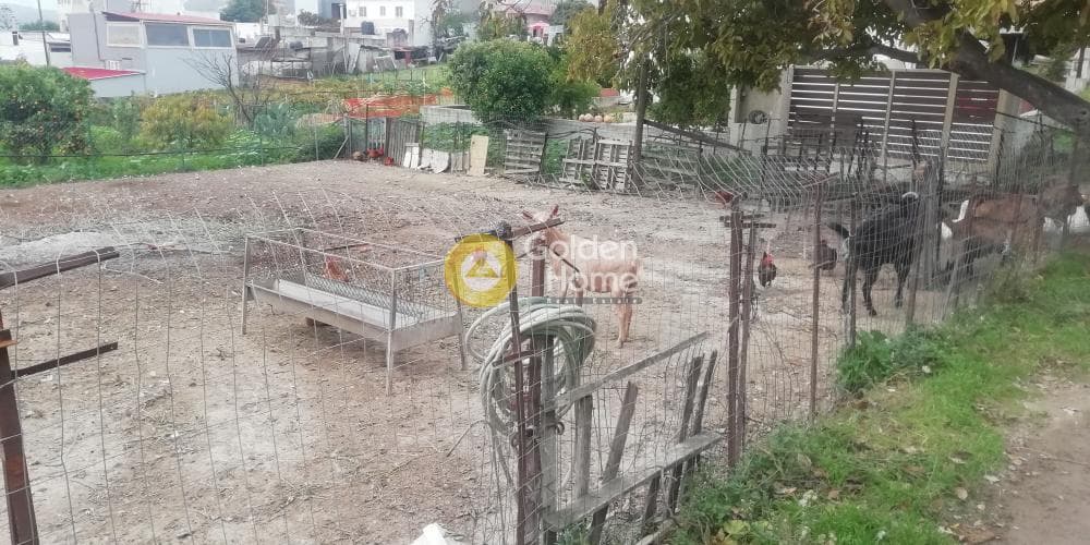 Building Plot in Kato Kalesia, Temenos — Photo 3 of 13