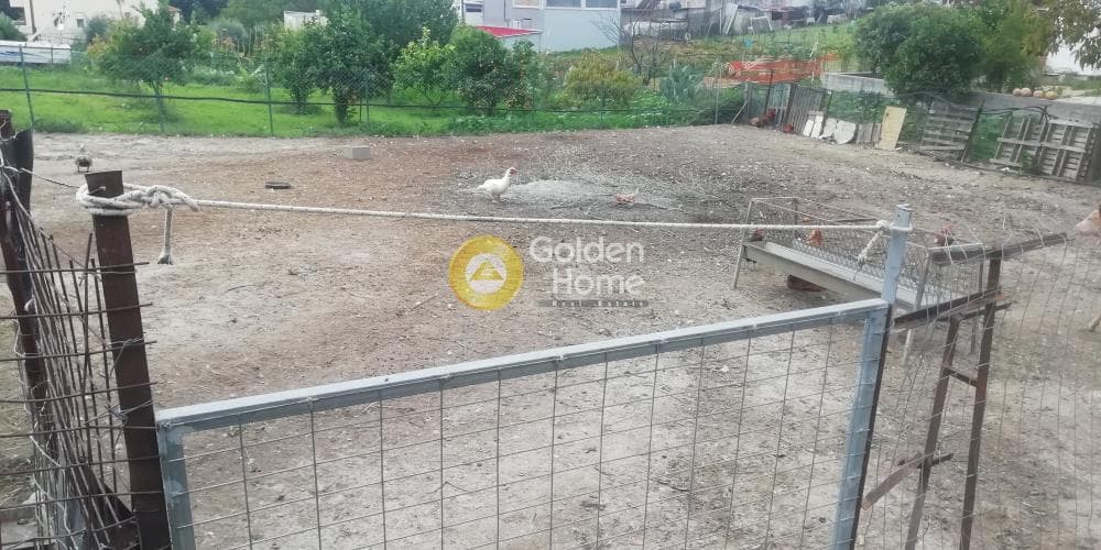 Building Plot in Kato Kalesia, Temenos — Photo 4 of 13