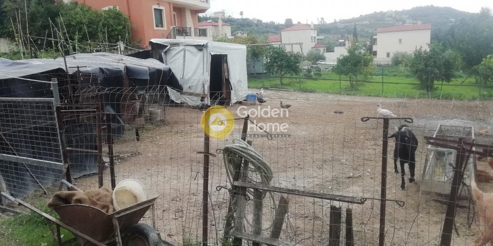 Building Plot in Kato Kalesia, Temenos — Photo 7 of 13