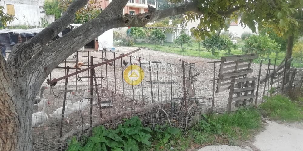 Building Plot in Kato Kalesia, Temenos — Photo 12 of 13
