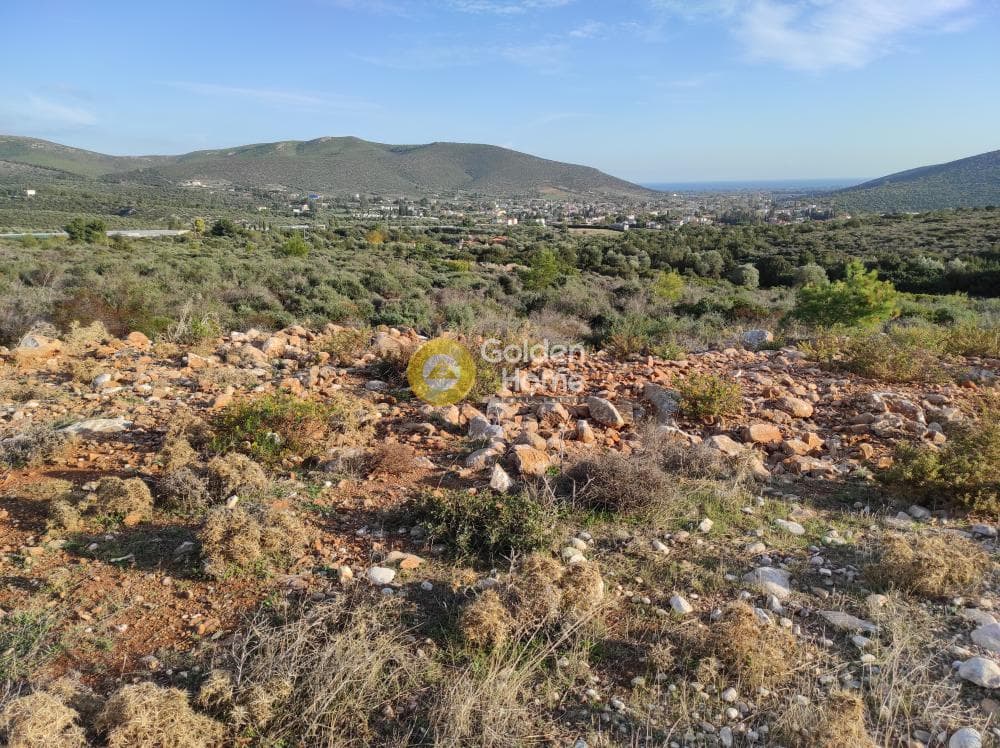 Αγροτεμάχιο στην Κέντρο, Μαραθώνας — Φωτογραφία 1 από 4