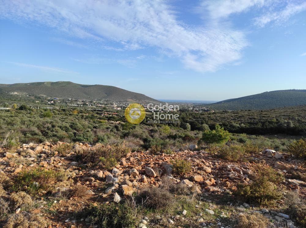 Αγροτεμάχιο στην Κέντρο, Μαραθώνας — Φωτογραφία 4 από 4