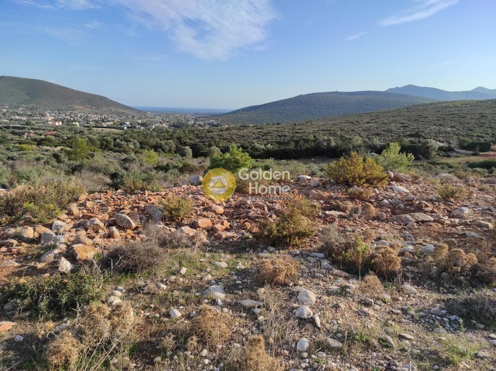 Αγροτεμάχιο στην Κέντρο, Μαραθώνας — Φωτογραφία 2 από 4