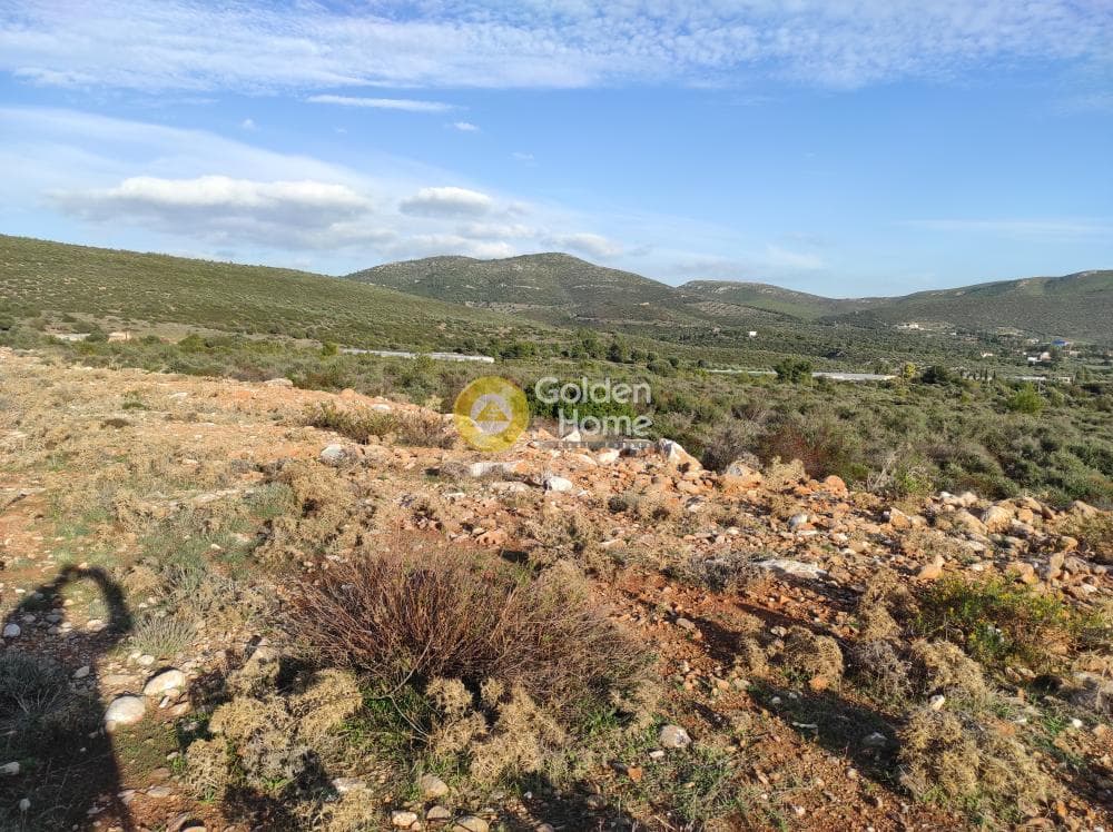 Αγροτεμάχιο στην Κέντρο, Μαραθώνας — Φωτογραφία 3 από 4