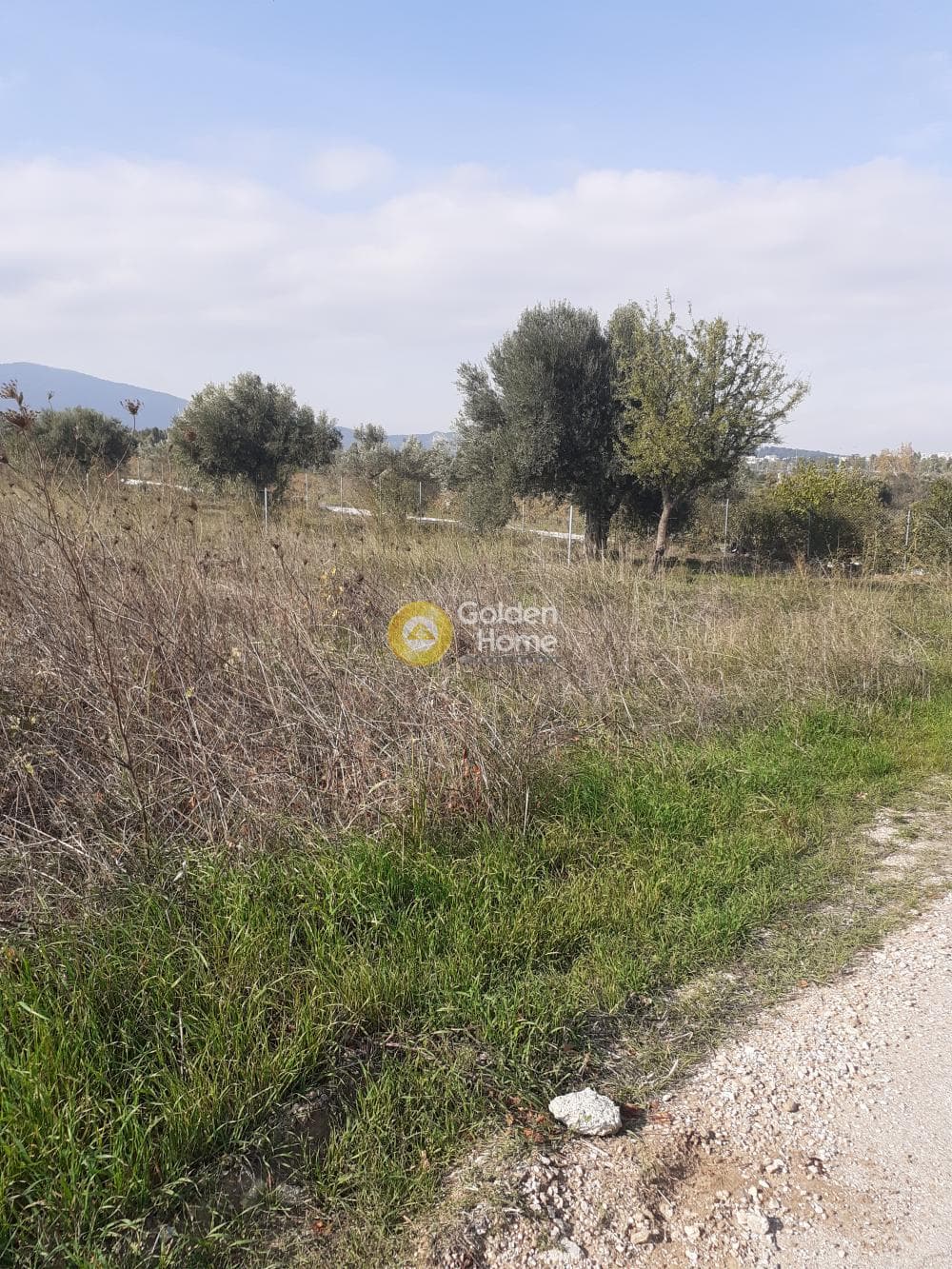 Αγροτεμάχιο στην Νεάπολη, Σπάτα — Φωτογραφία 1 από 3