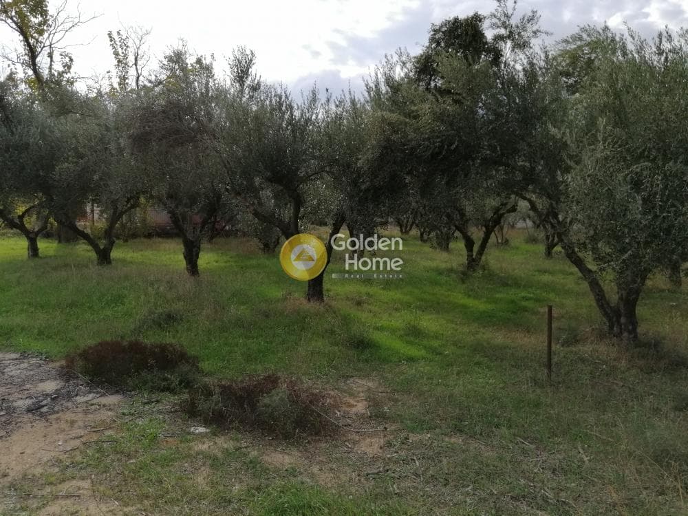 Αγροτεμάχιο στην Αγία Μαρίνα, Παιανία — Φωτογραφία 13 από 16