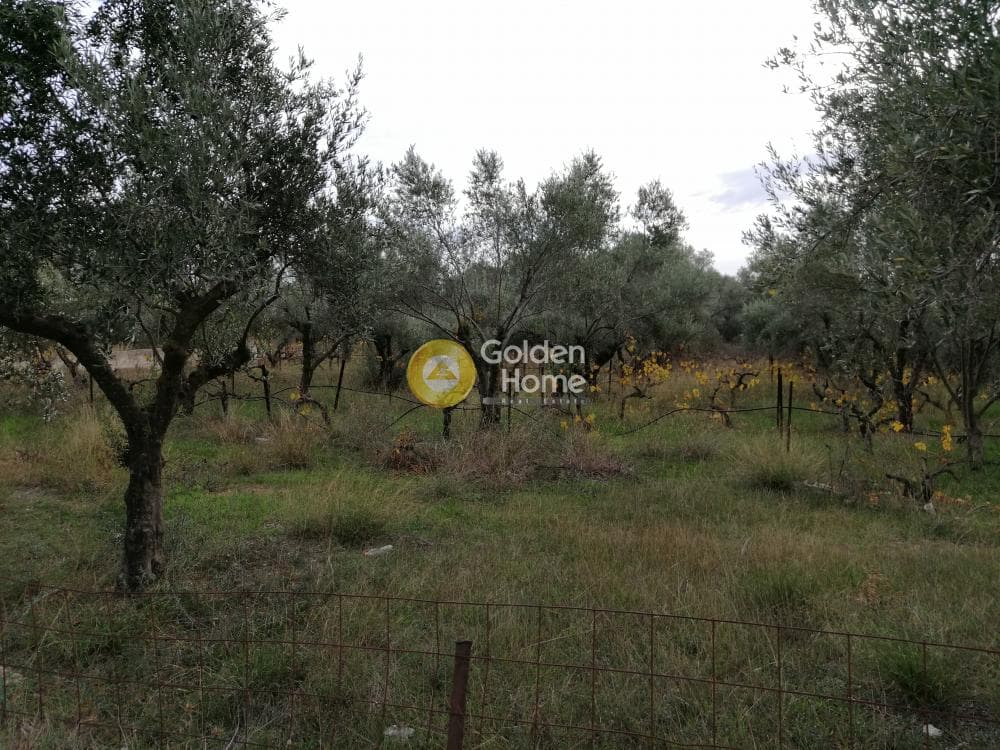 Αγροτεμάχιο στην Αγία Μαρίνα, Παιανία — Φωτογραφία 15 από 16