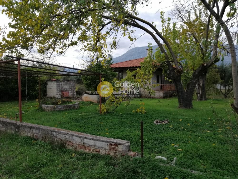 Αγροτεμάχιο στην Αγία Μαρίνα, Παιανία — Φωτογραφία 1 από 16