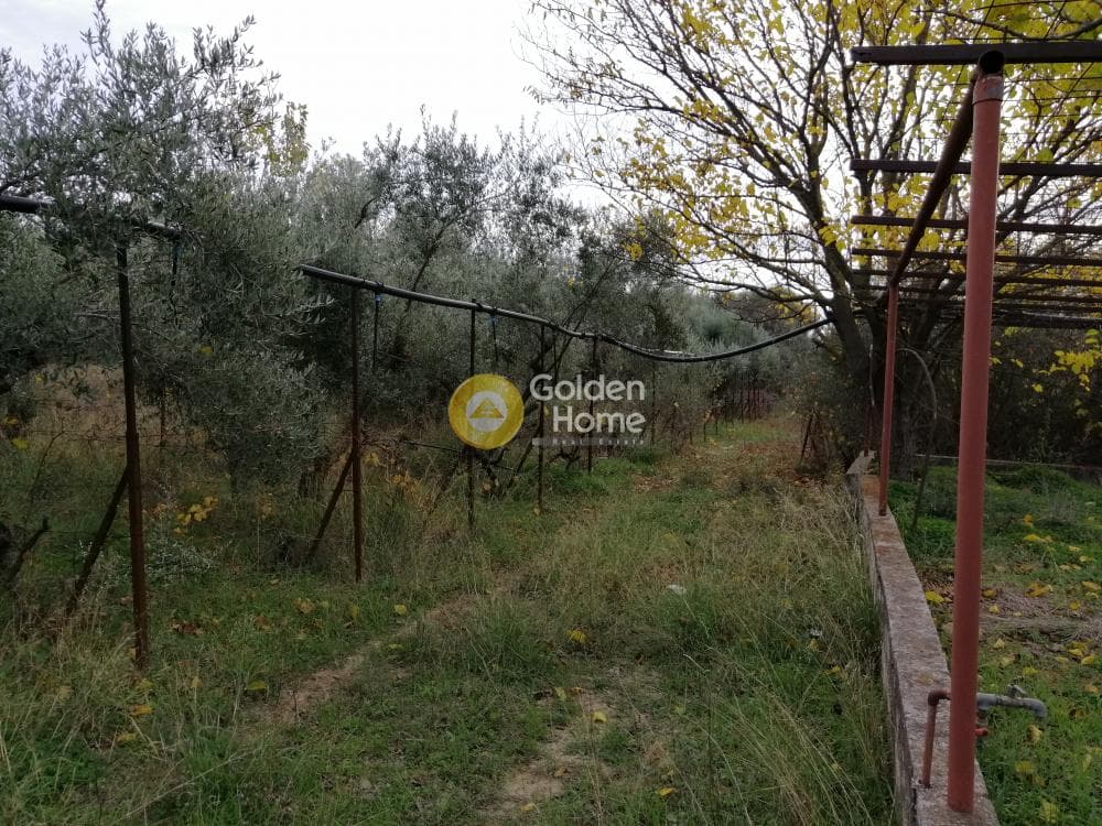Αγροτεμάχιο στην Αγία Μαρίνα, Παιανία — Φωτογραφία 12 από 16