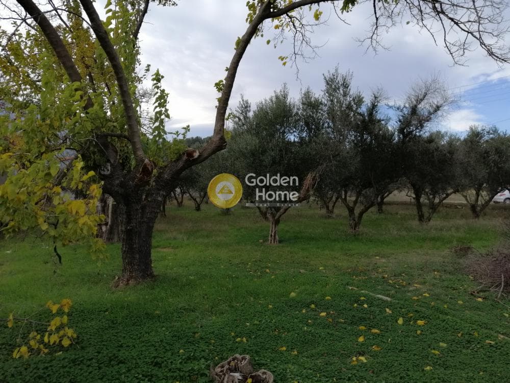 Αγροτεμάχιο στην Αγία Μαρίνα, Παιανία — Φωτογραφία 2 από 16