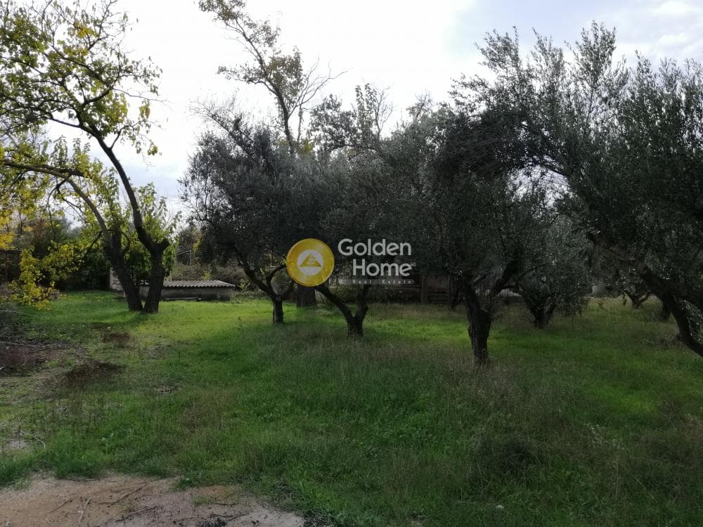 Αγροτεμάχιο στην Αγία Μαρίνα, Παιανία — Φωτογραφία 8 από 16