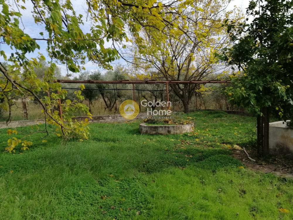 Αγροτεμάχιο στην Αγία Μαρίνα, Παιανία — Φωτογραφία 3 από 16