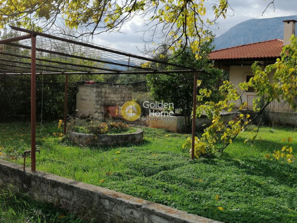 Αγροτεμάχιο στην Αγία Μαρίνα, Παιανία — Φωτογραφία 10 από 16