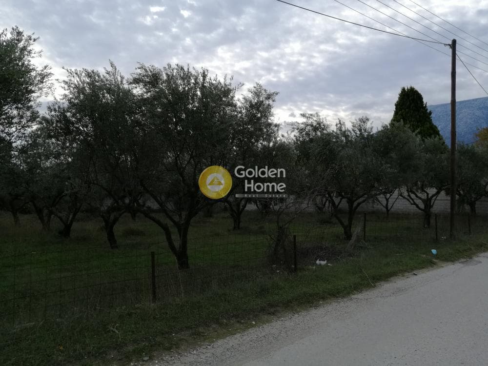 Αγροτεμάχιο στην Αγία Μαρίνα, Παιανία — Φωτογραφία 14 από 16