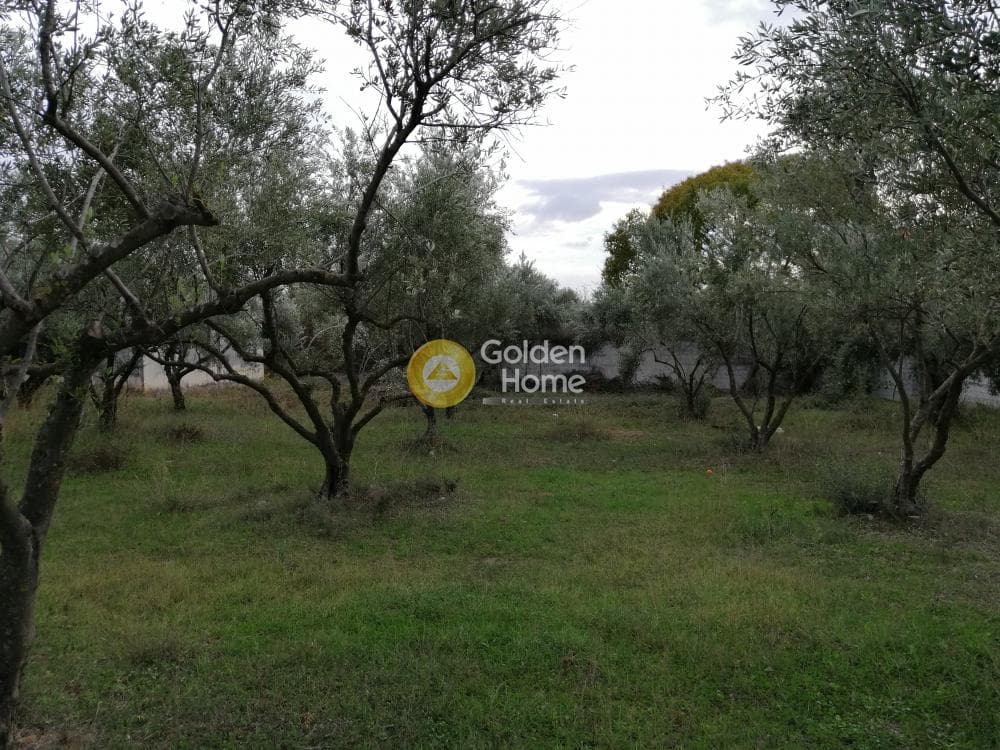 Αγροτεμάχιο στην Αγία Μαρίνα, Παιανία — Φωτογραφία 4 από 16