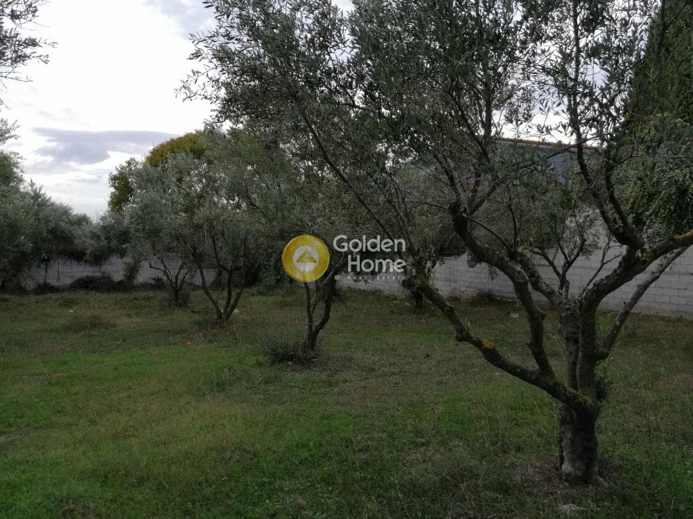 Αγροτεμάχιο στην Αγία Μαρίνα, Παιανία — Φωτογραφία 6 από 16