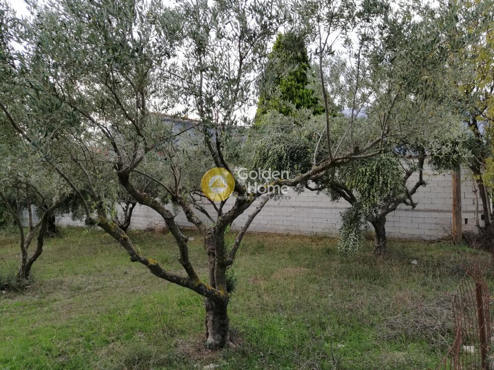 Αγροτεμάχιο στην Αγία Μαρίνα, Παιανία — Φωτογραφία 16 από 16