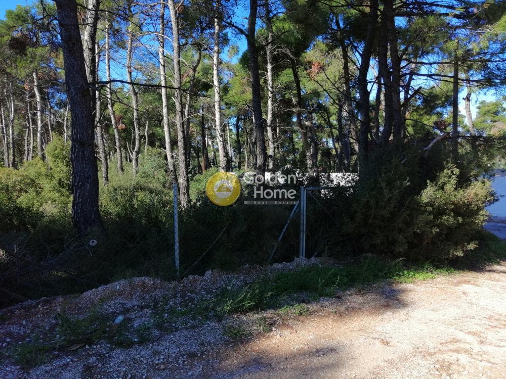 Οικόπεδο στην Δροσιά, Δροσιά — Φωτογραφία 1 από 11
