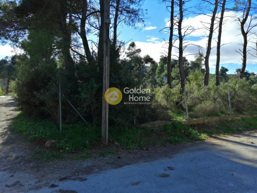 Οικόπεδο στην Δροσιά, Δροσιά — Φωτογραφία 3 από 11