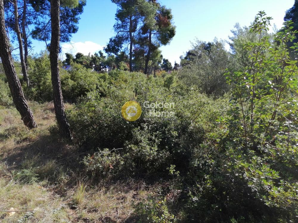 Οικόπεδο στην Δροσιά, Δροσιά — Φωτογραφία 6 από 11