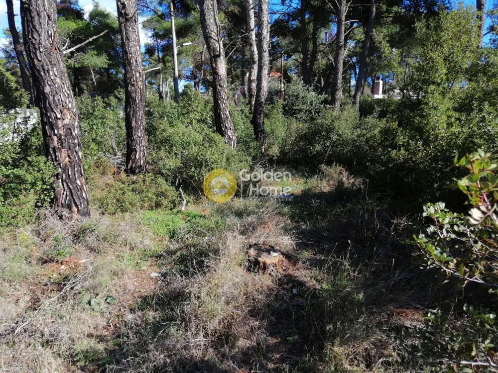 Οικόπεδο στην Δροσιά, Δροσιά — Φωτογραφία 7 από 11