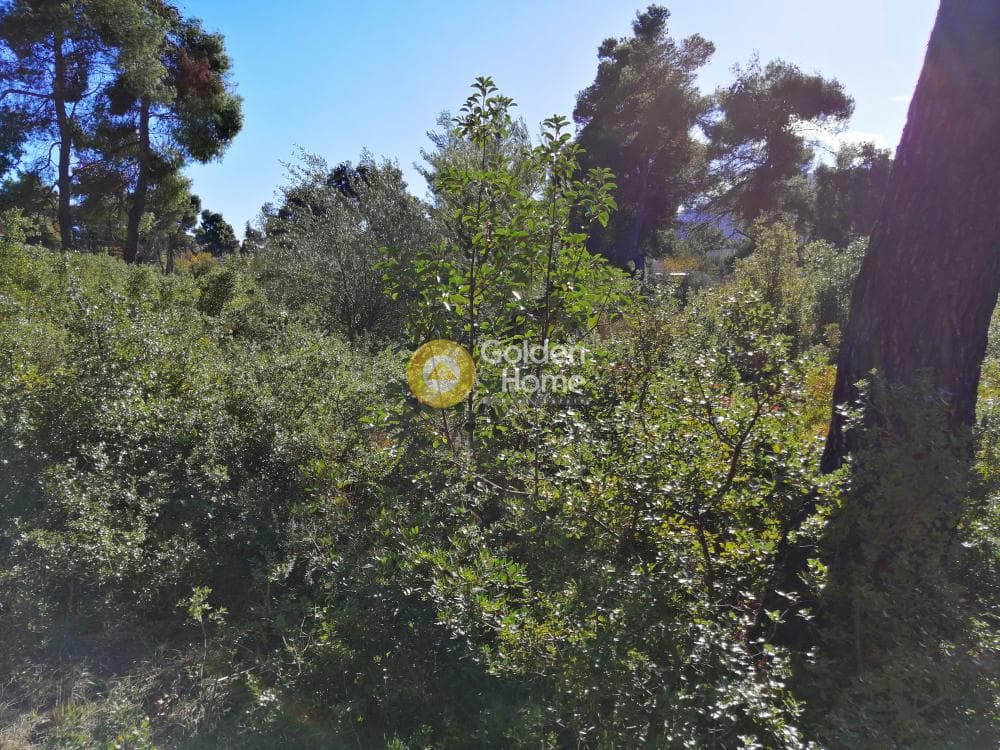 Οικόπεδο στην Δροσιά, Δροσιά — Φωτογραφία 8 από 11