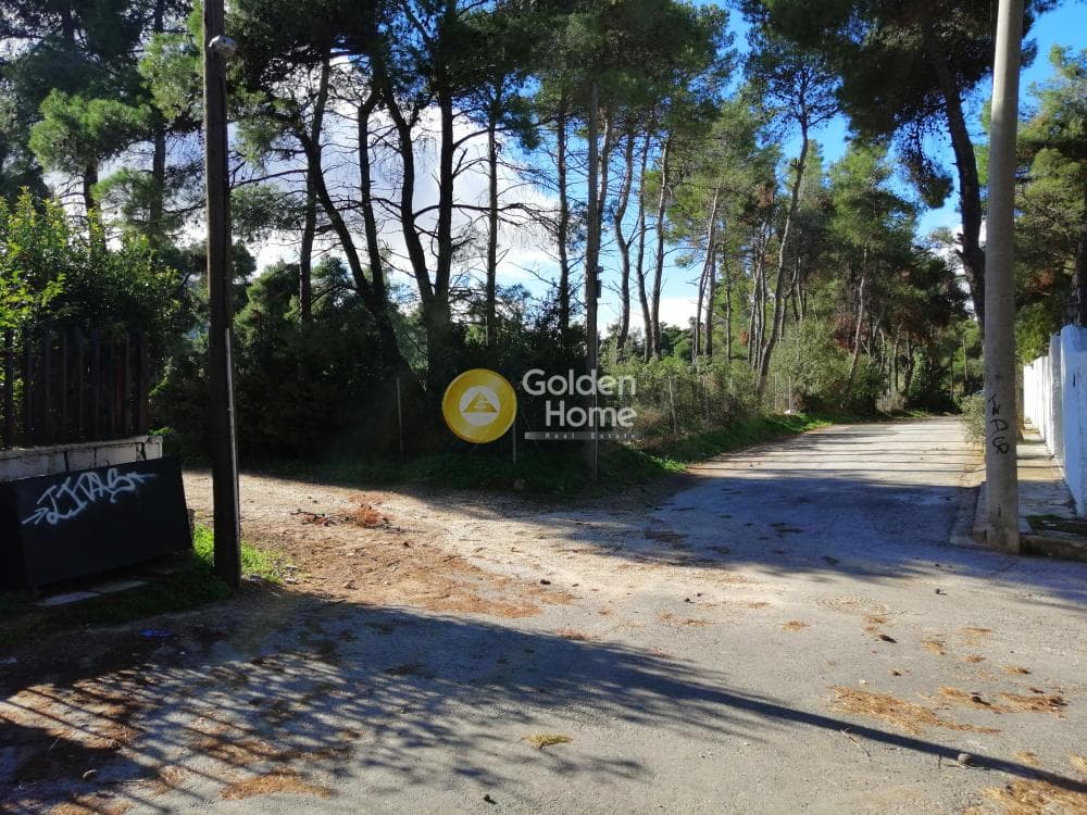 Οικόπεδο στην Δροσιά, Δροσιά — Φωτογραφία 9 από 11