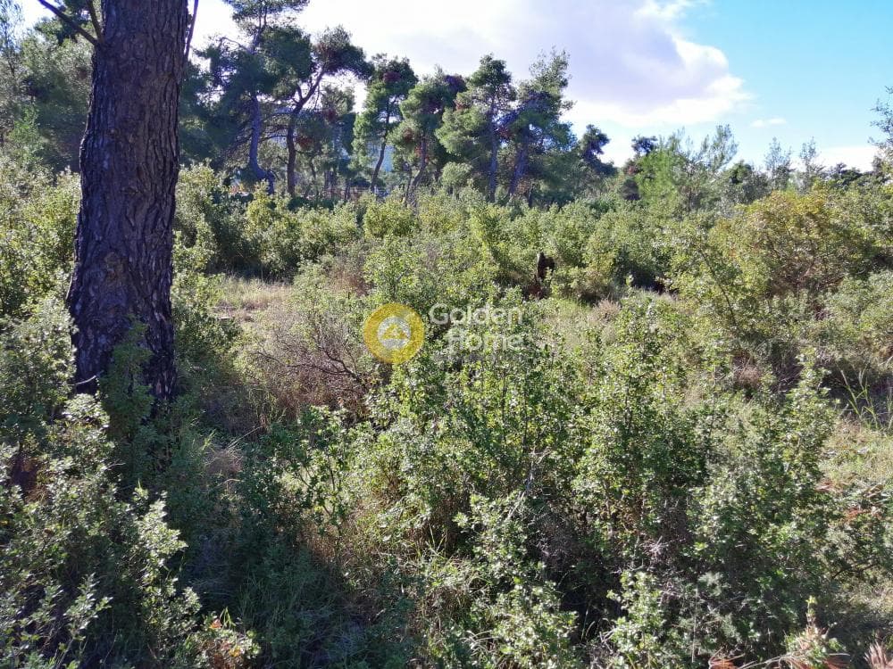 Οικόπεδο στην Δροσιά, Δροσιά — Φωτογραφία 10 από 11