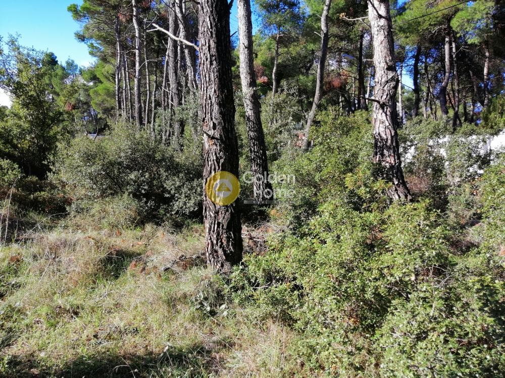 Οικόπεδο στην Δροσιά, Δροσιά — Φωτογραφία 11 από 11